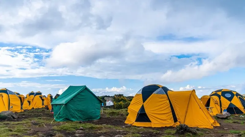 From Base Camp to Summit Understanding the Differences Between Everest ...