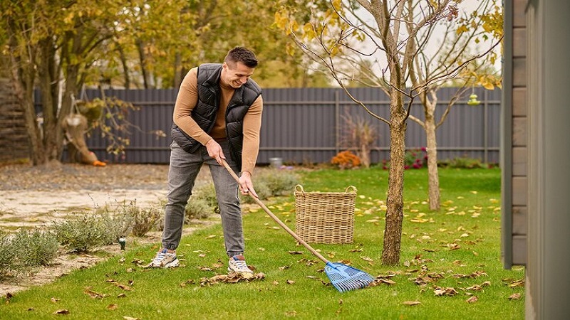 Pond Cleaning